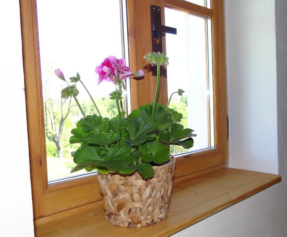 Farma Ruzova Villa Exterior photo